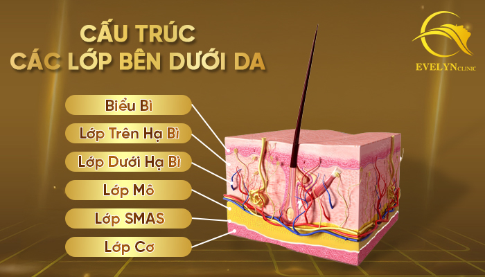Căng Da SMAS - Bật mí giải pháp trẻ hoá da "tốt nhất" 2025